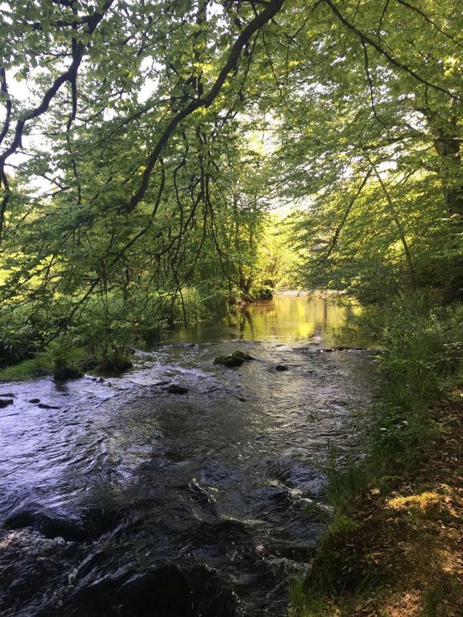Les Vergers D'Epona "Fremifontaine Vosges" Eksteriør billede